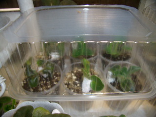 PB170008.JPG