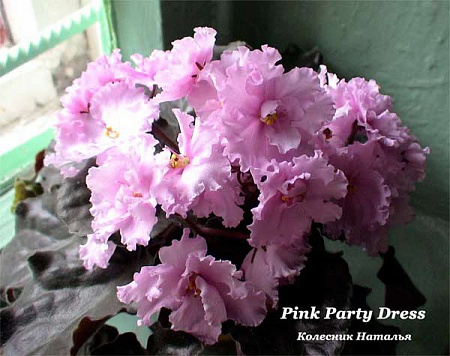 Pink Party Dress.jpg