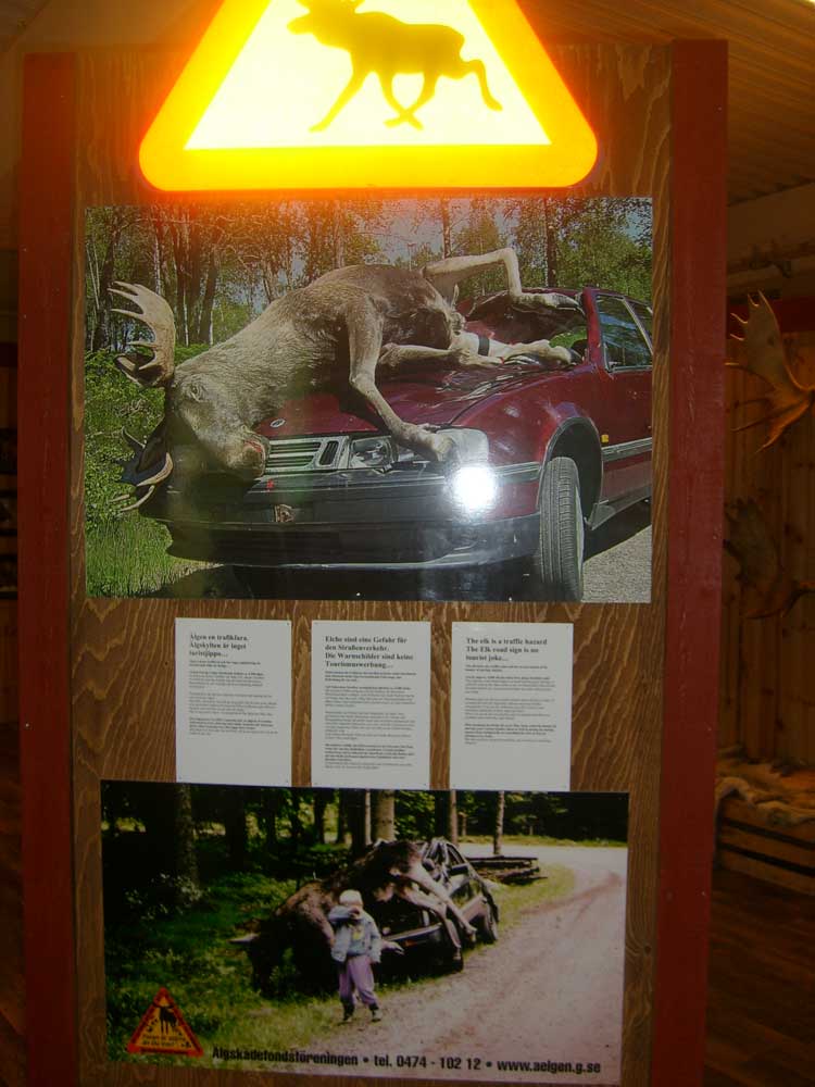 STP66045.jpg