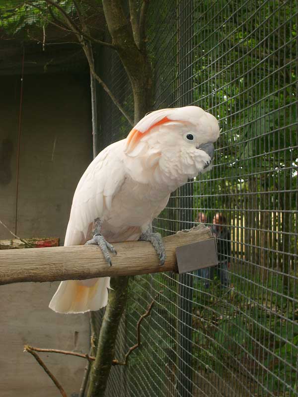 STP66193.jpg